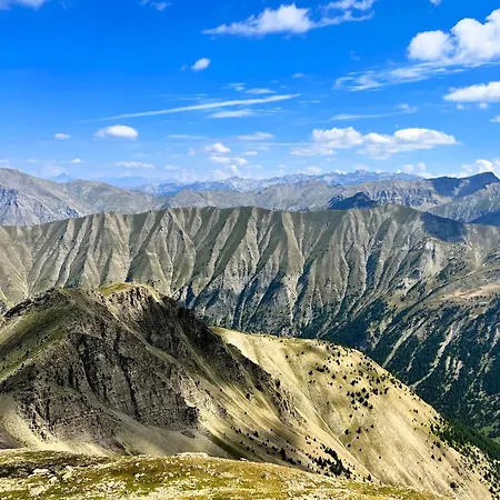 Alp-osud